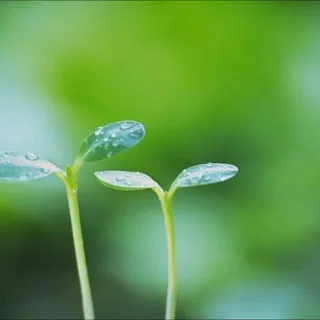 自由之声🌈 头像
