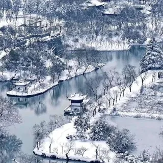 知识课程分享 头像