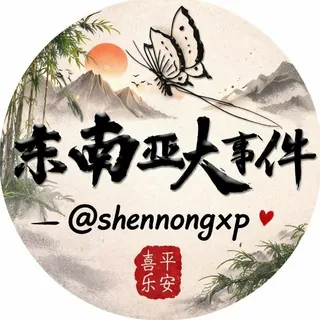 东南亚大事件 头像