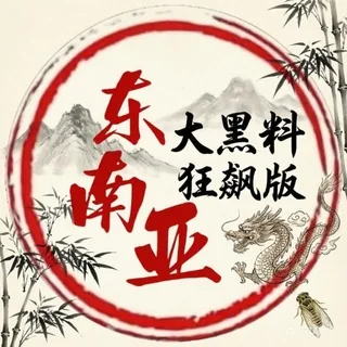 东南亚大黑料（狂飙版） 头像