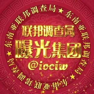 东南亚大事件联邦调查局-曝光集团 头像