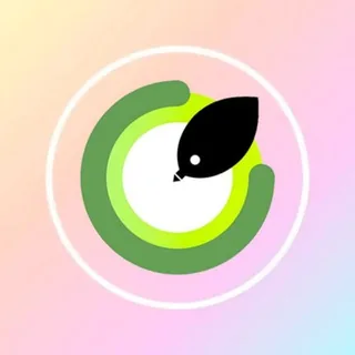 私密树洞 头像