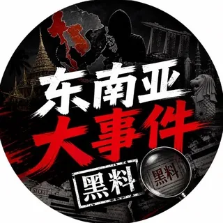 东南亚大事件黑料 头像