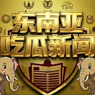 东南亚吃瓜猎奇大曝光 头像