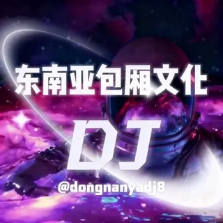 东南亚包厢文化DJ 头像