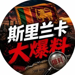 斯里兰卡大爆料 头像
