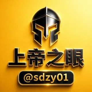上帝之眼|官方公告@sdzymax 头像