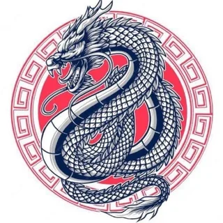 看涨中國人 🇨🇳 DRAGON CALL ☏ 头像