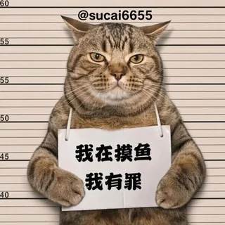 素材人设中心 头像