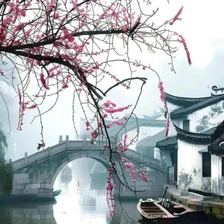 🅥加拿大文案馆头像素材🇨🇦 头像