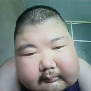 胖子游戏外挂/三角洲/王者荣耀/和平精英/无畏契约iOS 头像