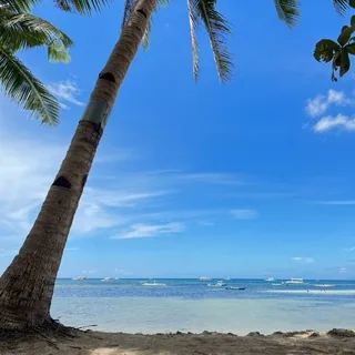 🌈【集团直招】海量岗位自由选择 头像