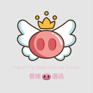 香猪🐽海外电销系统☎️全球语音线路☎️越南、印尼、印度、马来、欧洲、南美洲 头像