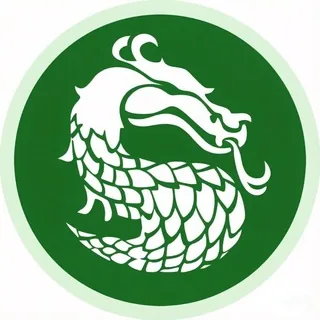ASafe/龙傲天唯一官方频道 头像