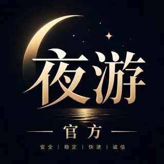 夜游官方 头像