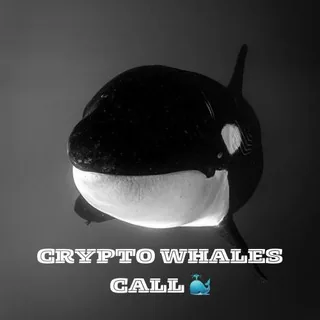 🐳CRYPTO WHALES CALL 中国🐳 头像