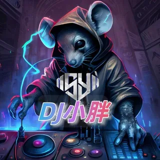 DJ小胖音乐频道 头像