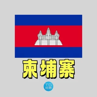TG招聘|柬埔寨新闻大事件♻️ 头像