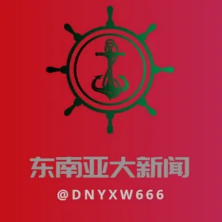 东南亚大新闻 头像