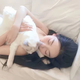 素材|sucai 头像