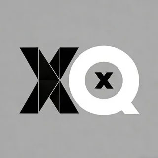 XQ险情科技-全项目通知反馈群 头像