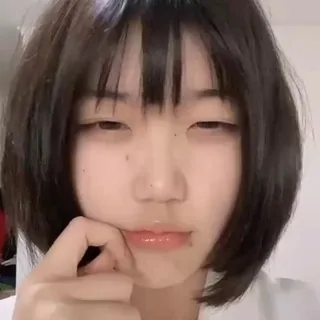 福星俱乐部 （总览 / 反馈） 头像