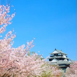 旅游素材 头像