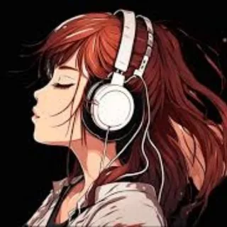 无损音乐华语专辑库 头像
