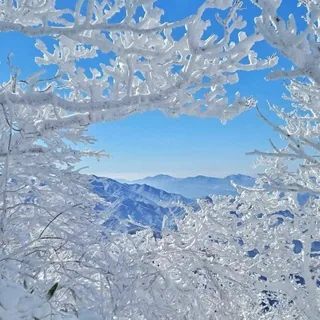 韩国素材🔥韩国美食【人物包装素材】 头像