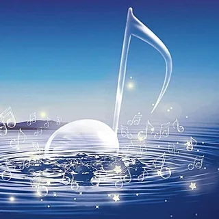 🎶音乐收藏 头像