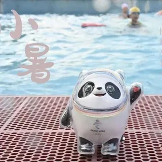 深圳畅谈交流总群出击报告 头像