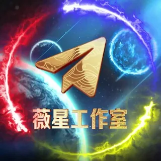 薇星工作室(定制全球婚恋交友) 头像