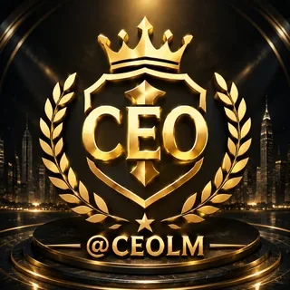 CEO联盟-华人素材群 头像