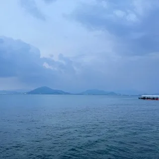 收量，给手子们一个家 头像