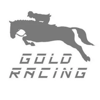 GoldRacing資訊站 头像