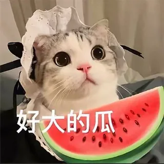 广州吃瓜🍉新闻 头像