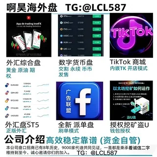 外汇正版MT5~秒合约~币盘~授权挖矿~tk商城~币盘~股票~交易所 头像