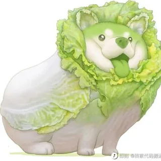 啰哩啰嗦分享频道 头像