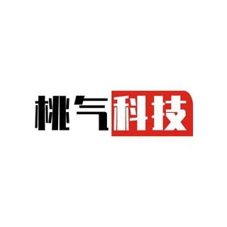 桃气科技-频道 头像