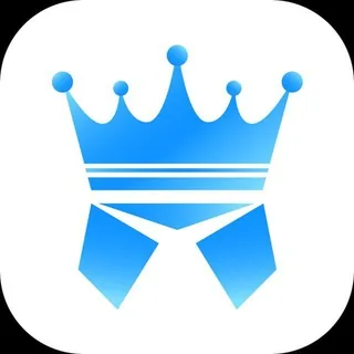 SCRM Champion客服系统介绍 翻译软件 翻译系统 客服在线系统 头像