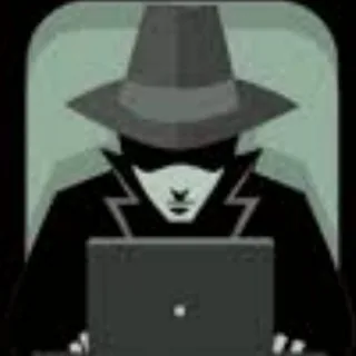 Hackers crack data hijacking and take over websites 蓝队 头像