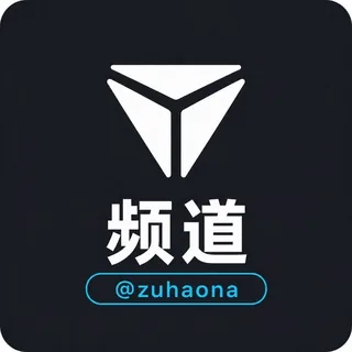 官方888租售飞机号会员能量礼物NFT 头像