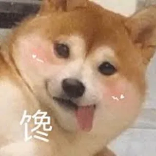 电影|网剧|小鱼儿部落 头像