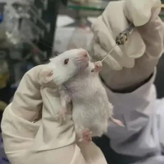 疫苗副作用频道 头像
