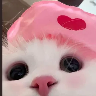 琪了个琪 头像