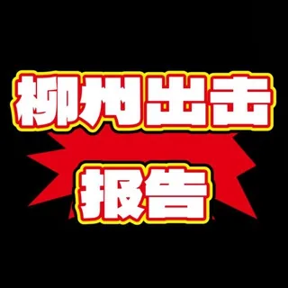柳州出击报告 头像