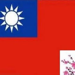 中華民國（大陸）臨時政府官方平臺 头像