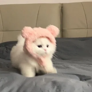 七七的朋友圈 头像