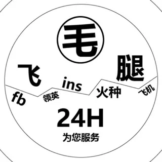 FB飞毛腿出海 【FB|批发】-大小黑号-IG-TK-领英-出海软件 头像