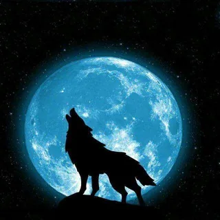BTC比特币Lone wolf 社区 头像
